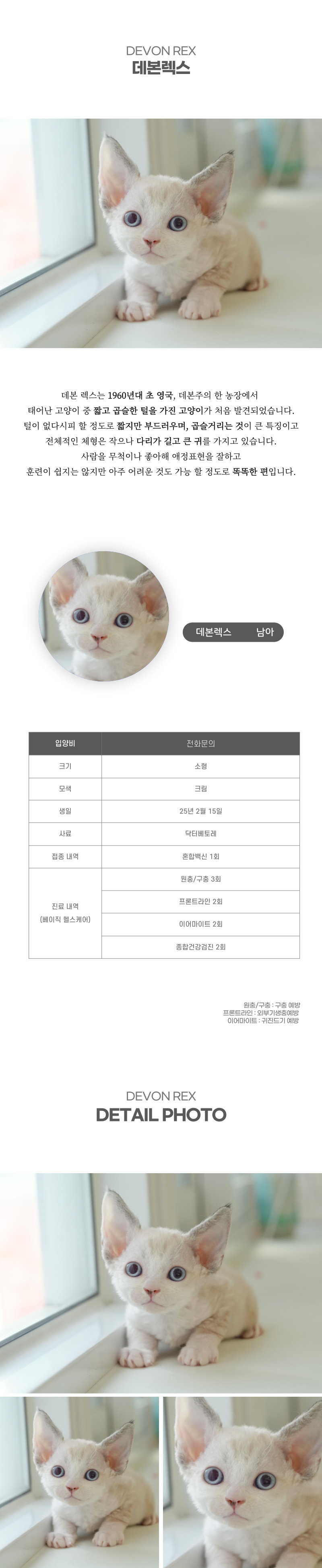 데본렉스_상세이미지_2